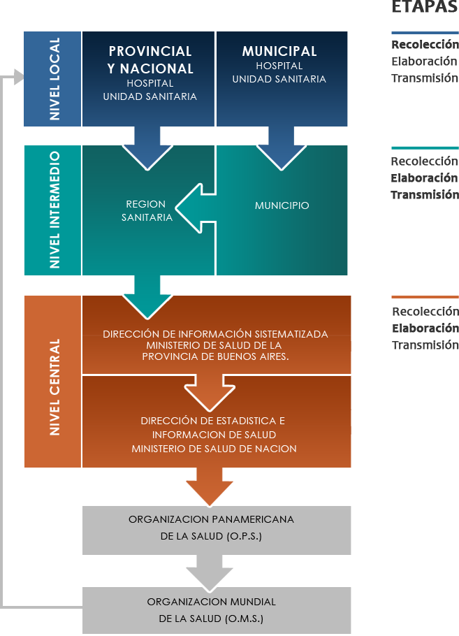 Circuito de la Información
